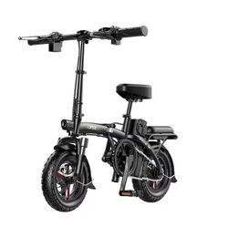 Foldable Electric Bike 