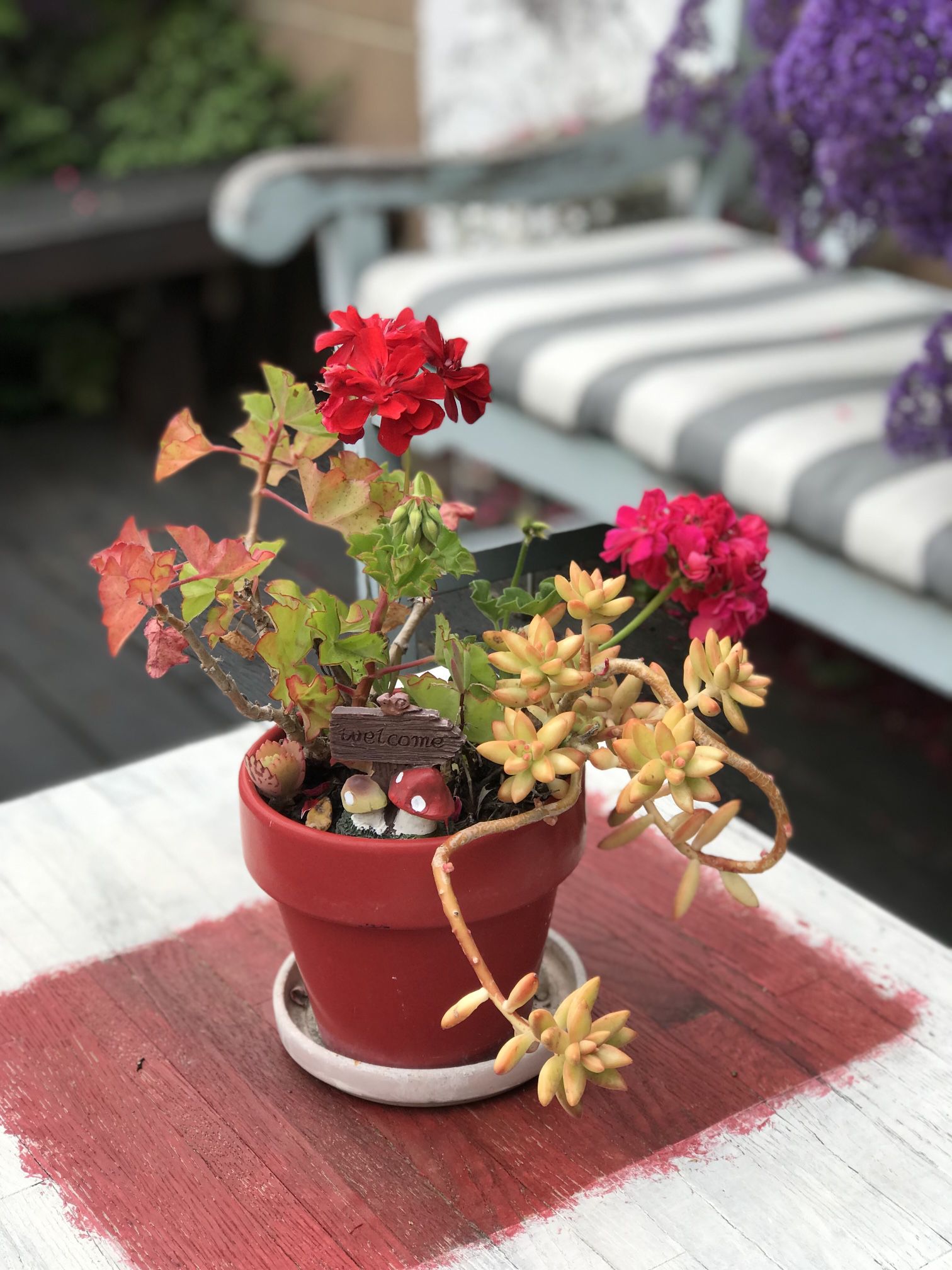 $7 Potted Plant 