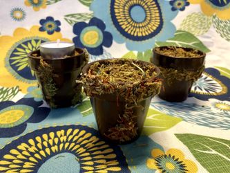 Candleholders