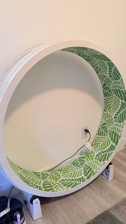 Cat Wheel
