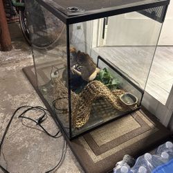 Reptile Aquarium .