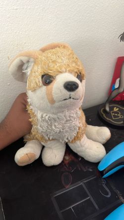 Cute Fair Plush Dog πΆ β Great Condition