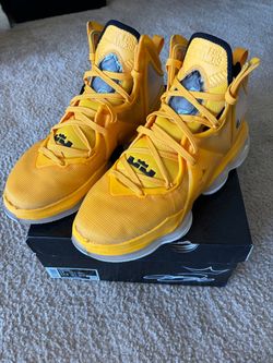 LeBrons (size 13)