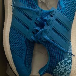 Size 12 Adidas Ultraboost 