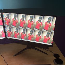 Predator Monitor Gaming 165hz