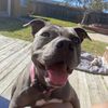 Samantha