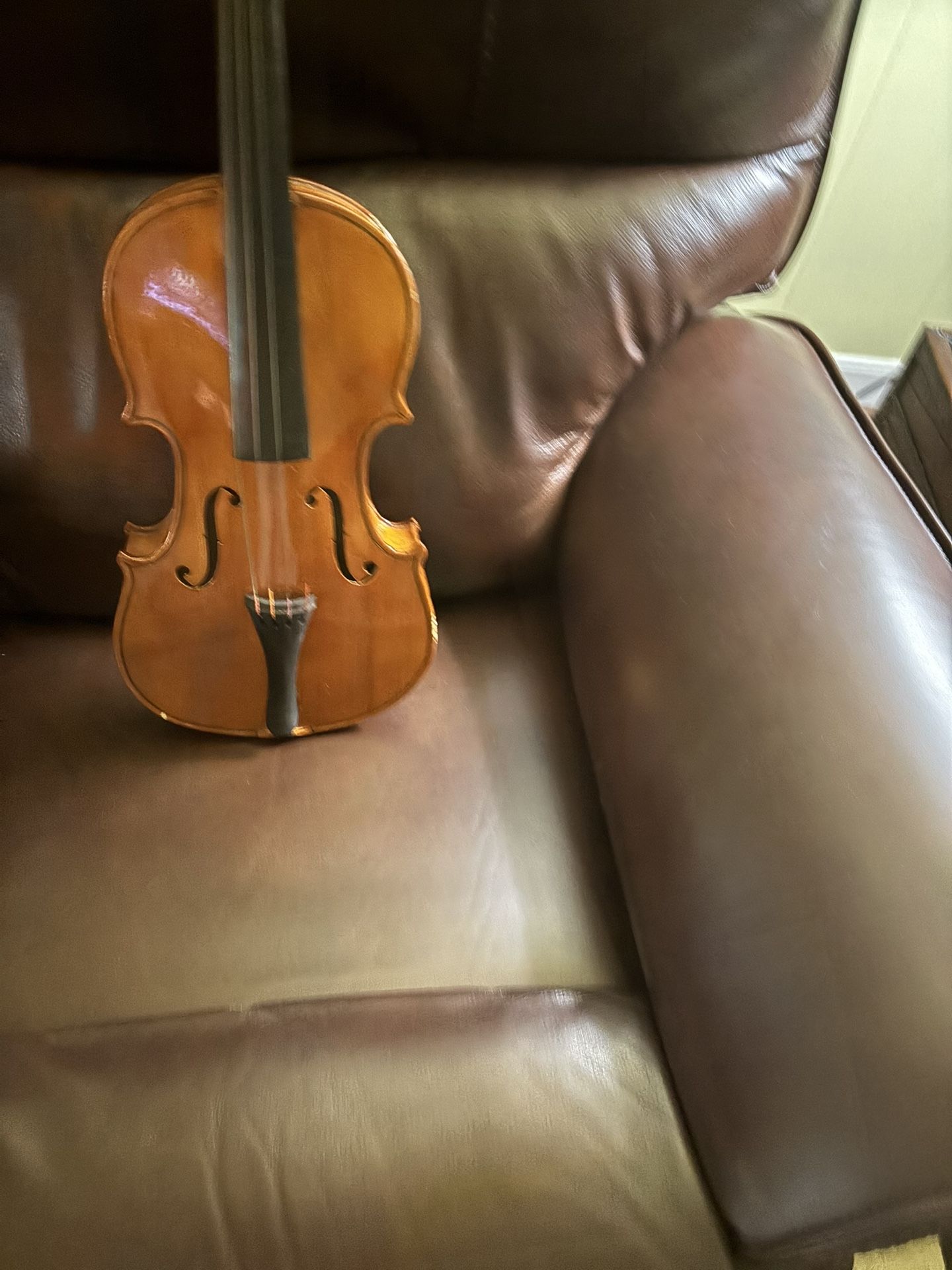 Violin