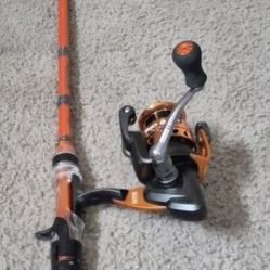 Okuma Reel + Berkley Rod Combo