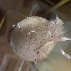 Sandlawood Bath-bomb