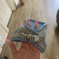 Brand New Blue Harness 