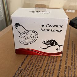 Reptile Supplies