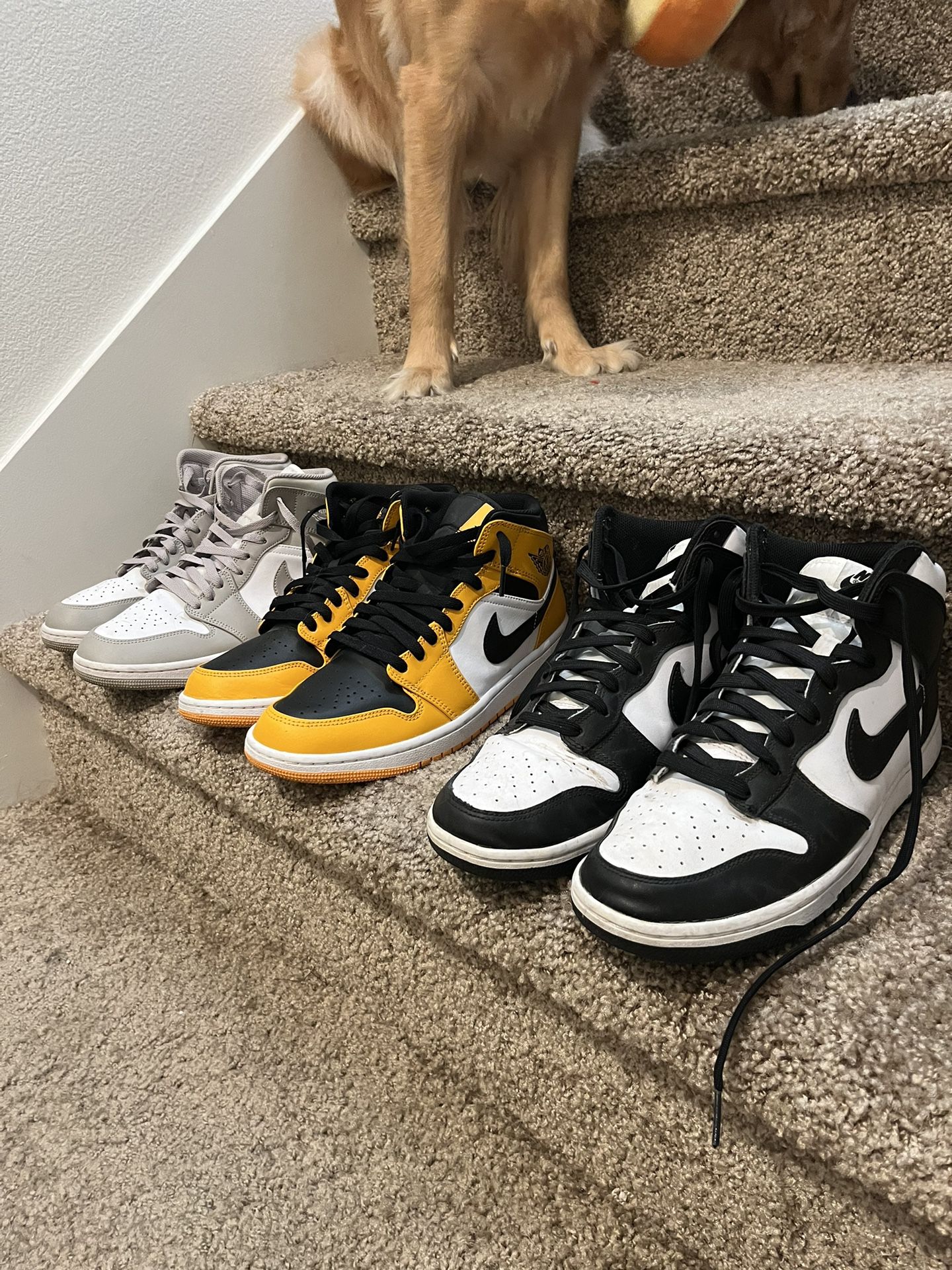 Jordan/Nike Shoes 