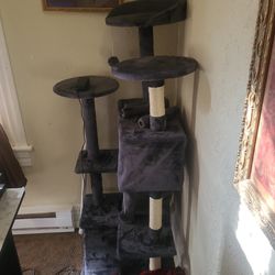 Cat tower/condo .