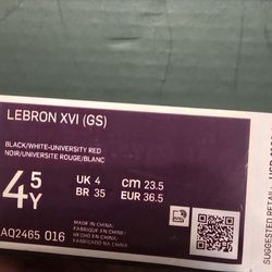 LEBRON XVI (GS)