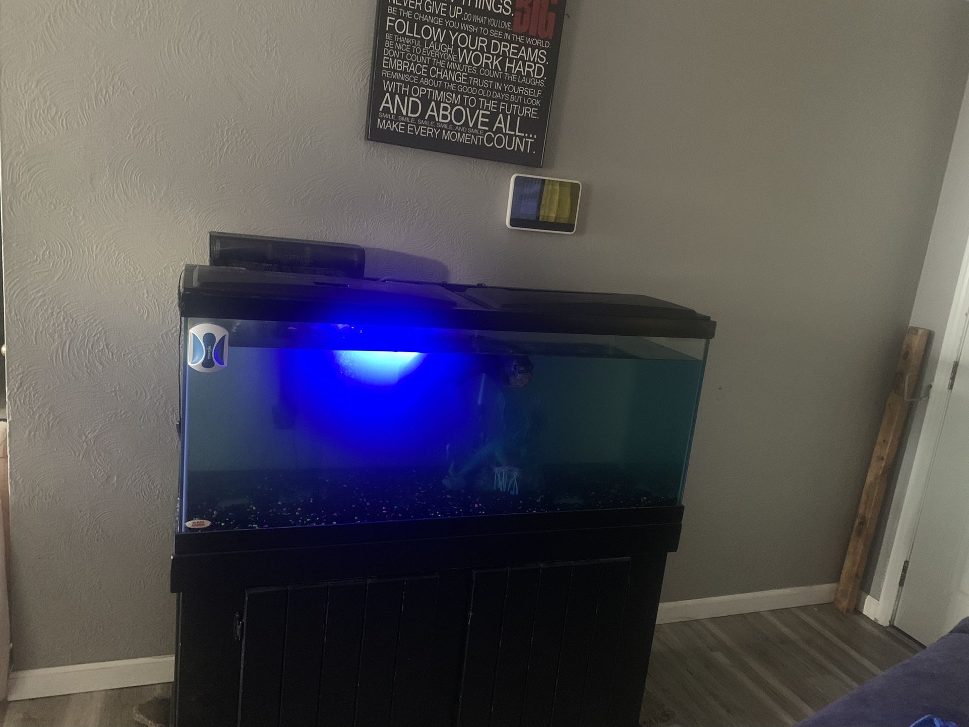 Fish Tank