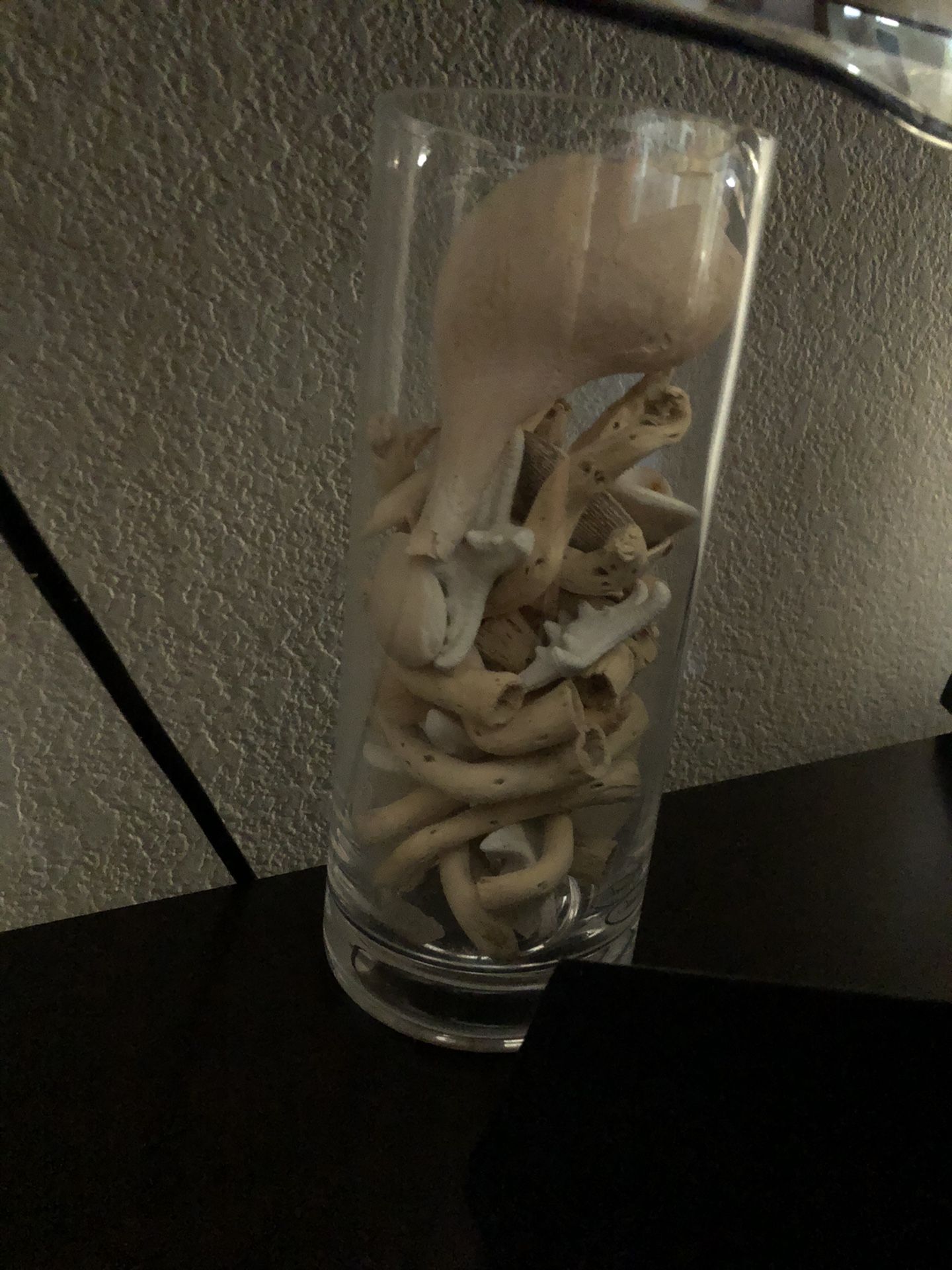 Pottery Barn Decorative Vase with Beach Wood Pair (2)