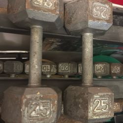 25 lb Pair Hex Iron Dumbbells