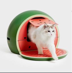 Vetreska Watermelon Kitty Kove - NEW