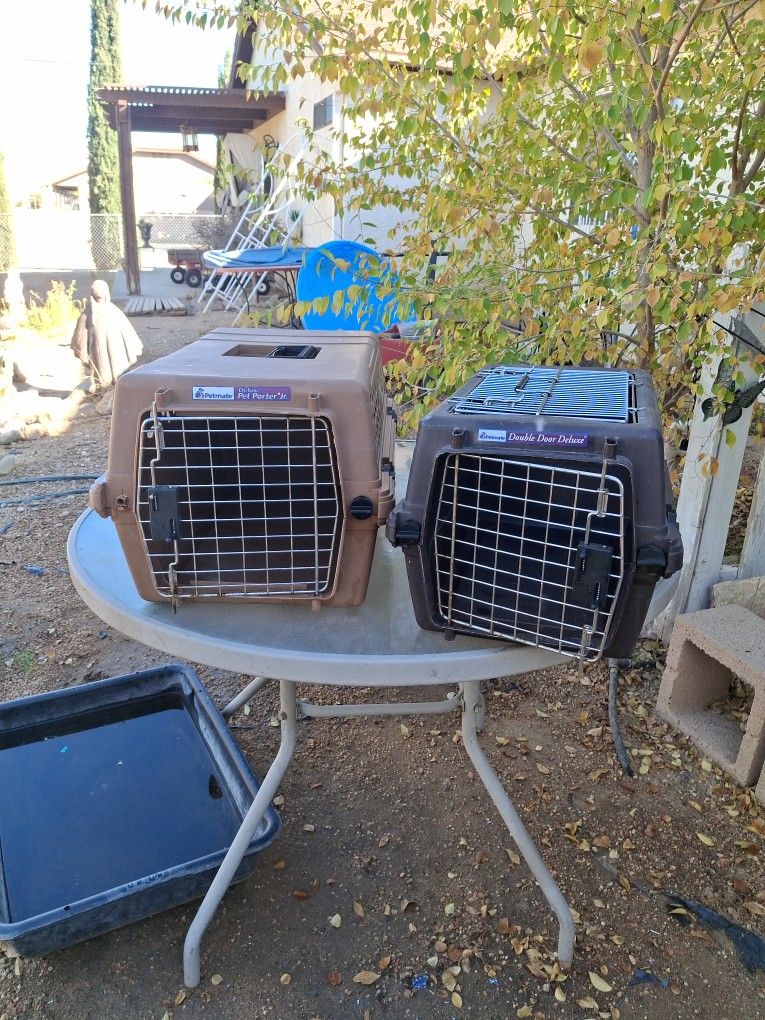 Dog Or Cat Or Animal Carrier Large 30.00 Small 15.00 Firm