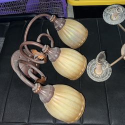 Wired Lamps