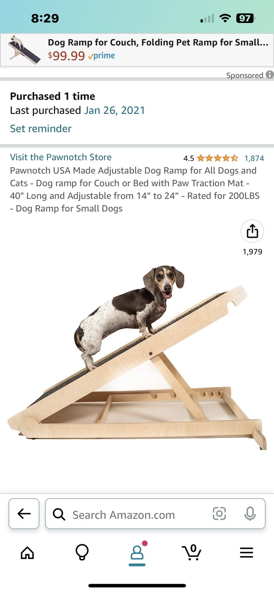 Dog Ramp - Never Used