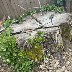 Free Wood