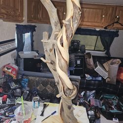 Twisted Family JUNIPER