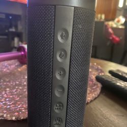 Bluetooth Speaker With Alexa Integrated 