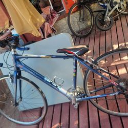 Giant Bike