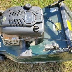Self propelled stripping lawnmower