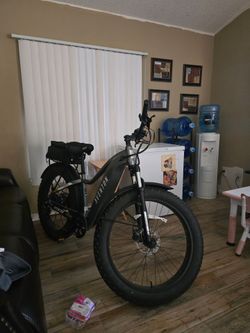 Fat tire e-bike