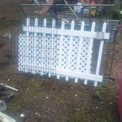 Birdcage And The Little White Picket Fence