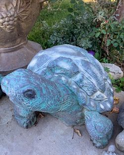 Concrete Turtles . Tortugas De Concreto 