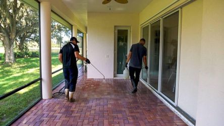 House, Driveway, Roof and Gutter Cleaning 