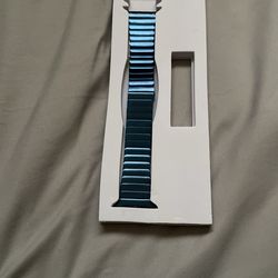 Apple Watch Band 45mm Blue Steel