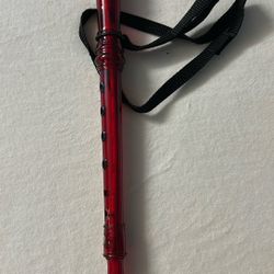 Recorder With Neck Strap