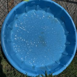 Hard plastic pool small