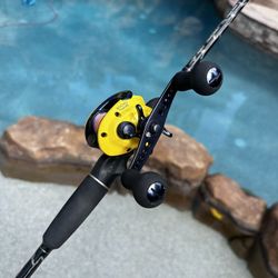 Shimano Bay Game 300HG 7.1 TypeG JDM Baitcaster Fishing Reel from Japan