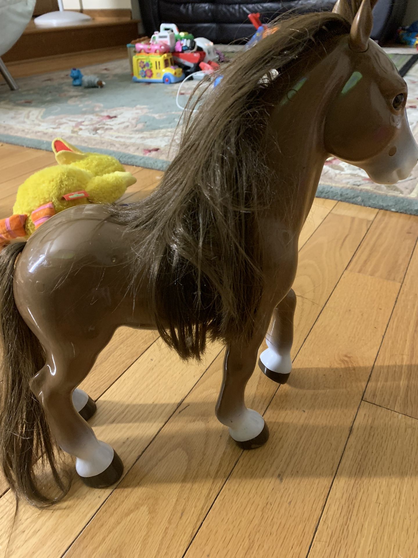 Horse