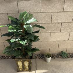Nearly Natural Cordyline Plant with Decorative Vase