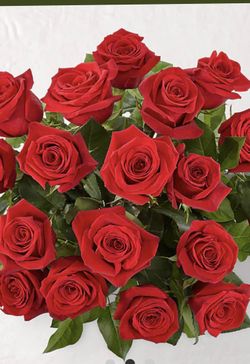 Mother’s Day one dozen roses
