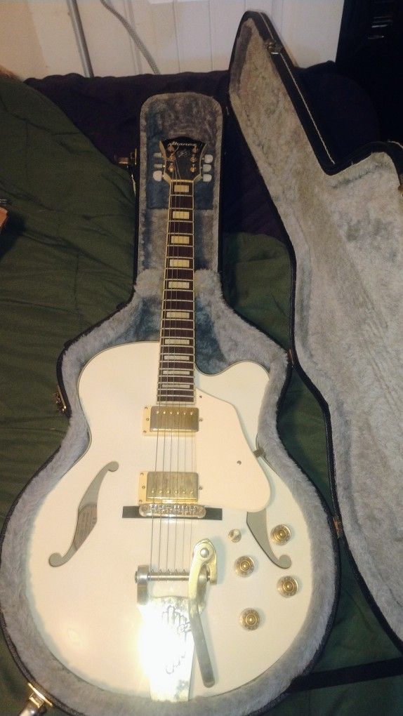Hollow Body Guitar
