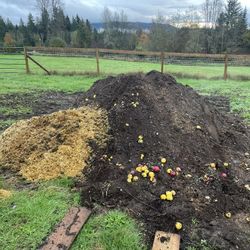 Manure For Compost!