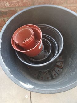 Plant  Pots