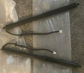 OEM Toyota RAV4 Power Liftgate Struts 2019–2024 – Pair