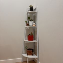 Corner Shelf