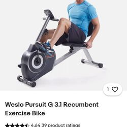Exercise Bike (Weslo Pursuit 3.1)