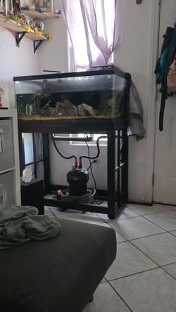 Free aquarium tank with filter and fish