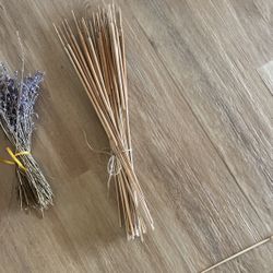 MINI DRIED CAT TAILS