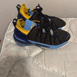 lebron 18 “Dynasty” size 4.5